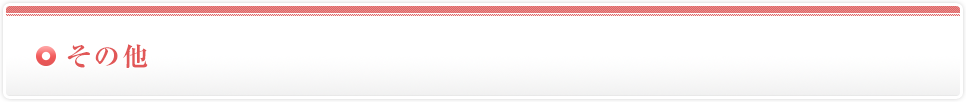 その他