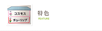 特色