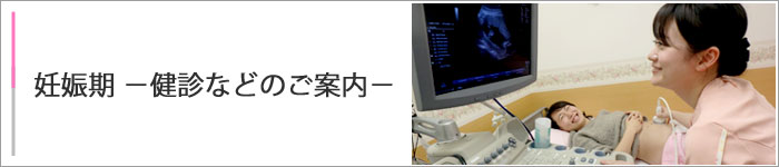 妊娠期 -健診などのご案内-