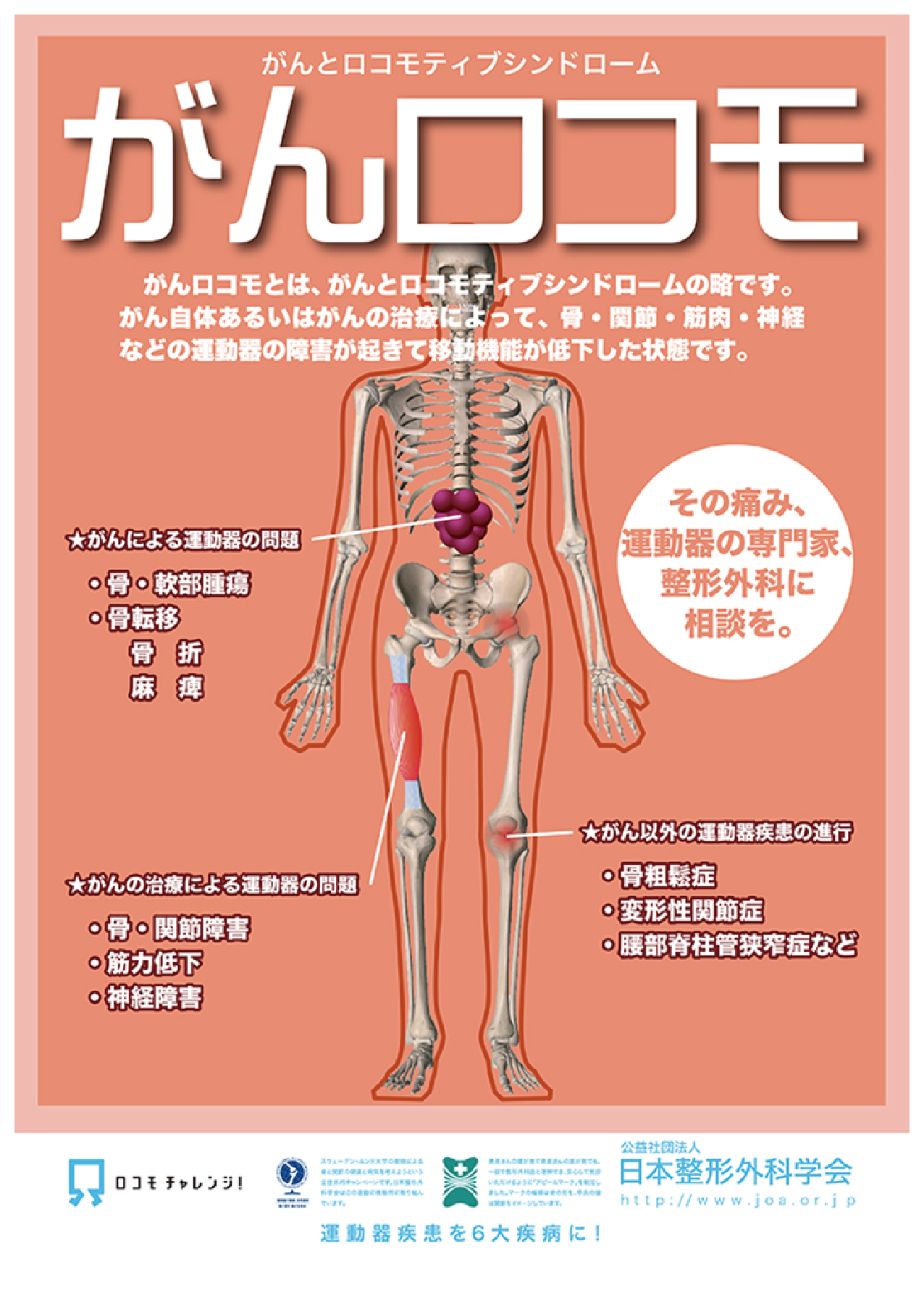 整形外科 診療科 部門紹介 ベルランド総合病院 社会医療法人 生長会