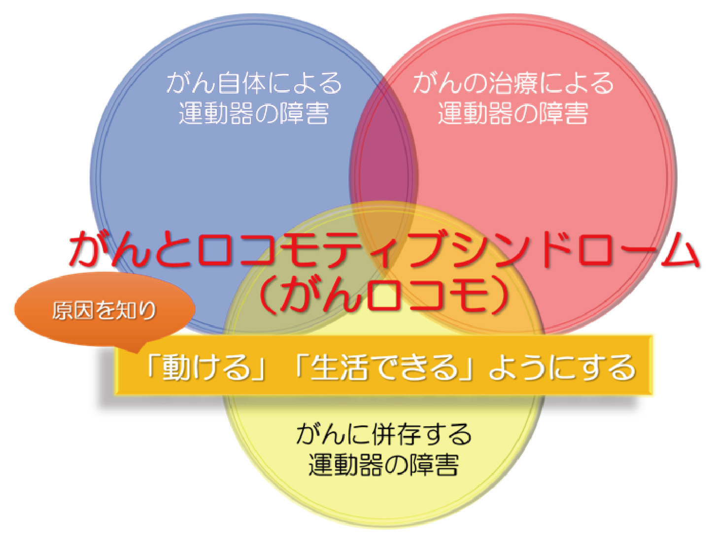 整形外科 診療科 部門紹介 ベルランド総合病院 社会医療法人 生長会