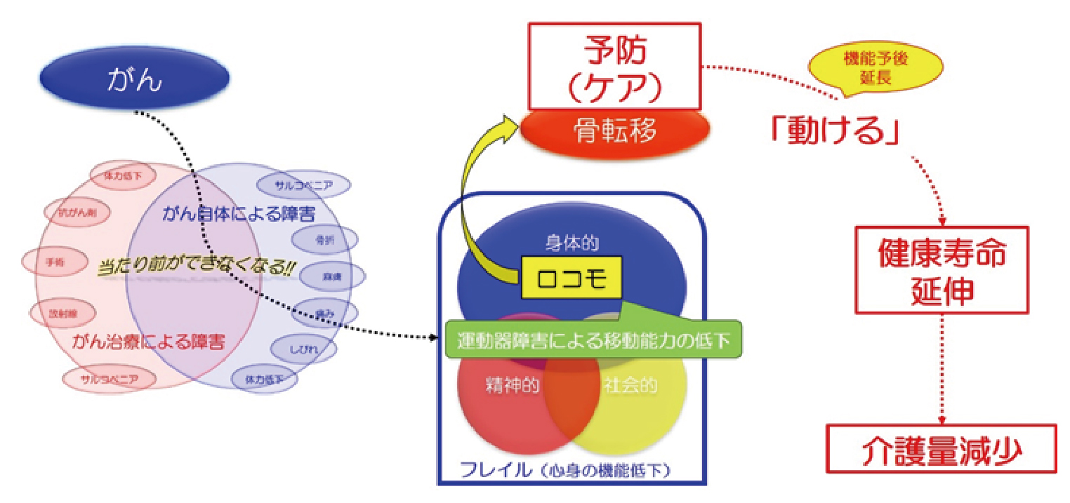 整形外科 診療科 部門紹介 ベルランド総合病院 社会医療法人 生長会