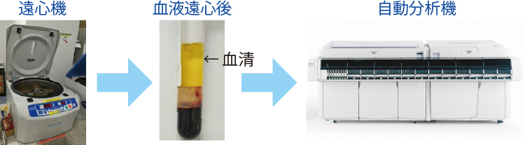/bell/upload/department/page/clinical_laboratory_biochemistry_01.jpg