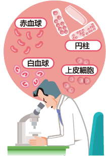/bell/upload/department/page/clinical_laboratory_general_03.gif
