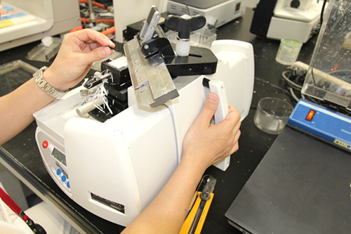 /bell/upload/department/page/clinical_laboratory_pathology_02.jpg