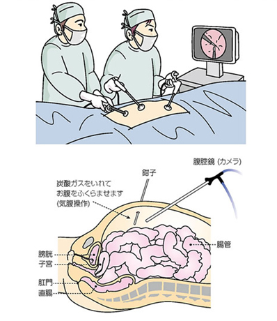 /bell/upload/department/page/daicho1.jpg