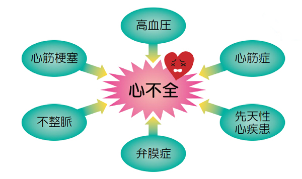 /ozumc/upload/department/page/20211122_shinfuzen02.jpg