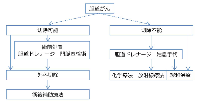 /ozumc/upload/department/page/biliarytract_02.jpg