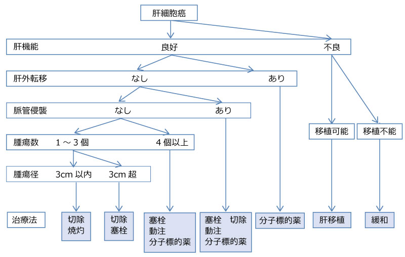 /ozumc/upload/department/page/kanzo01.jpg