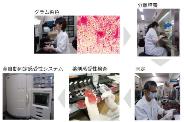 /ozumc/upload/department/page/laboratory_40.jpg