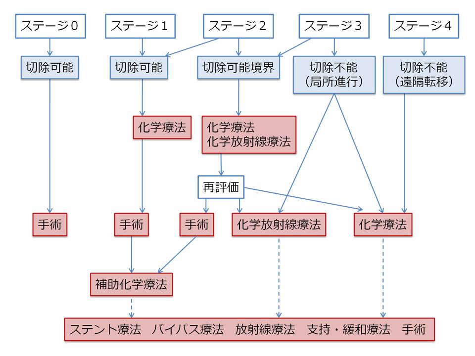 /ozumc/upload/department/page/pancreatic_01.jpg