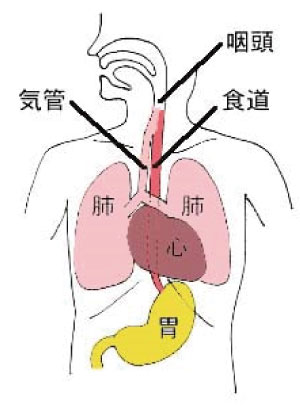 /ozumc/upload/department/page/stoma06.jpg